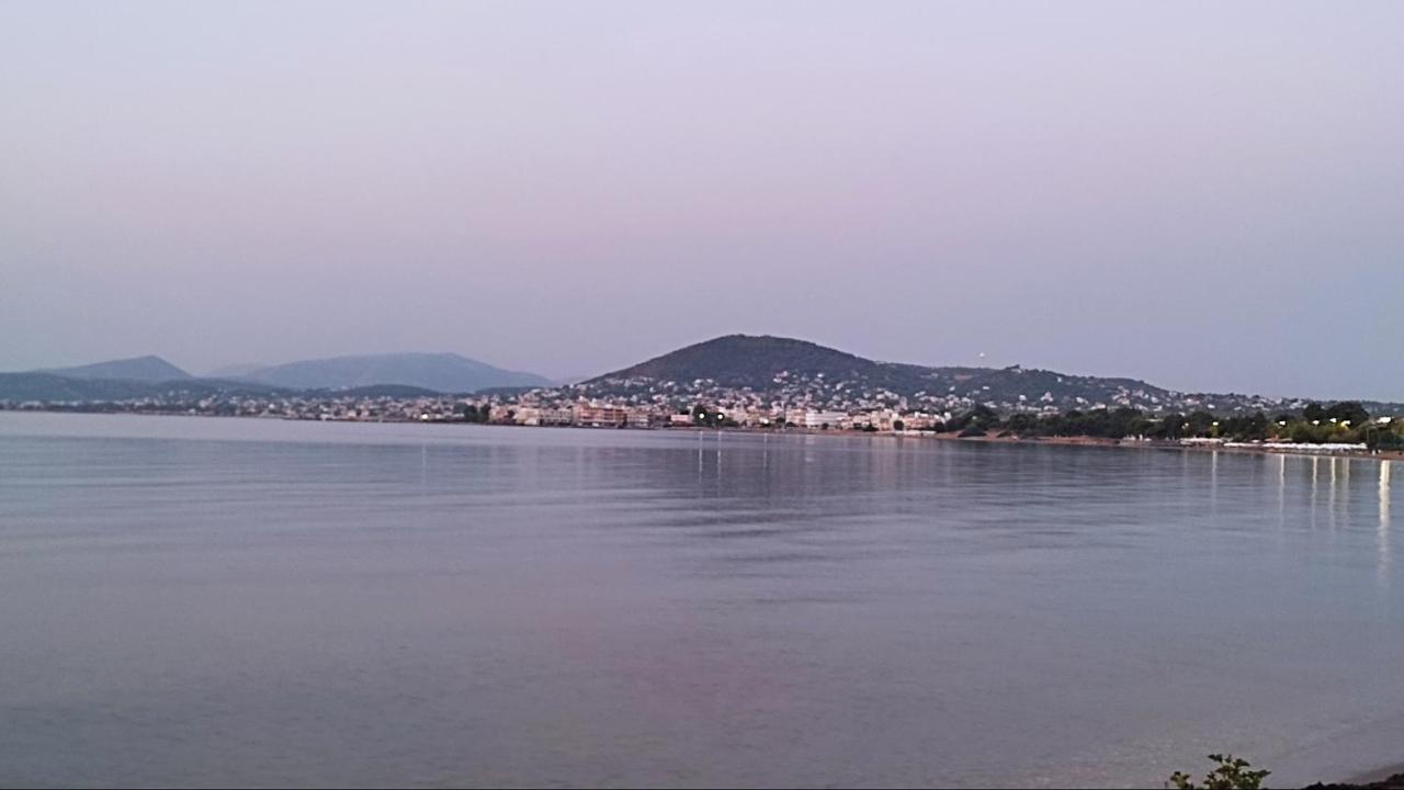 Beautiful Choice - Near Athens Airport - 50M From The Sea - Iq+ Lägenhet Artemida  Exteriör bild