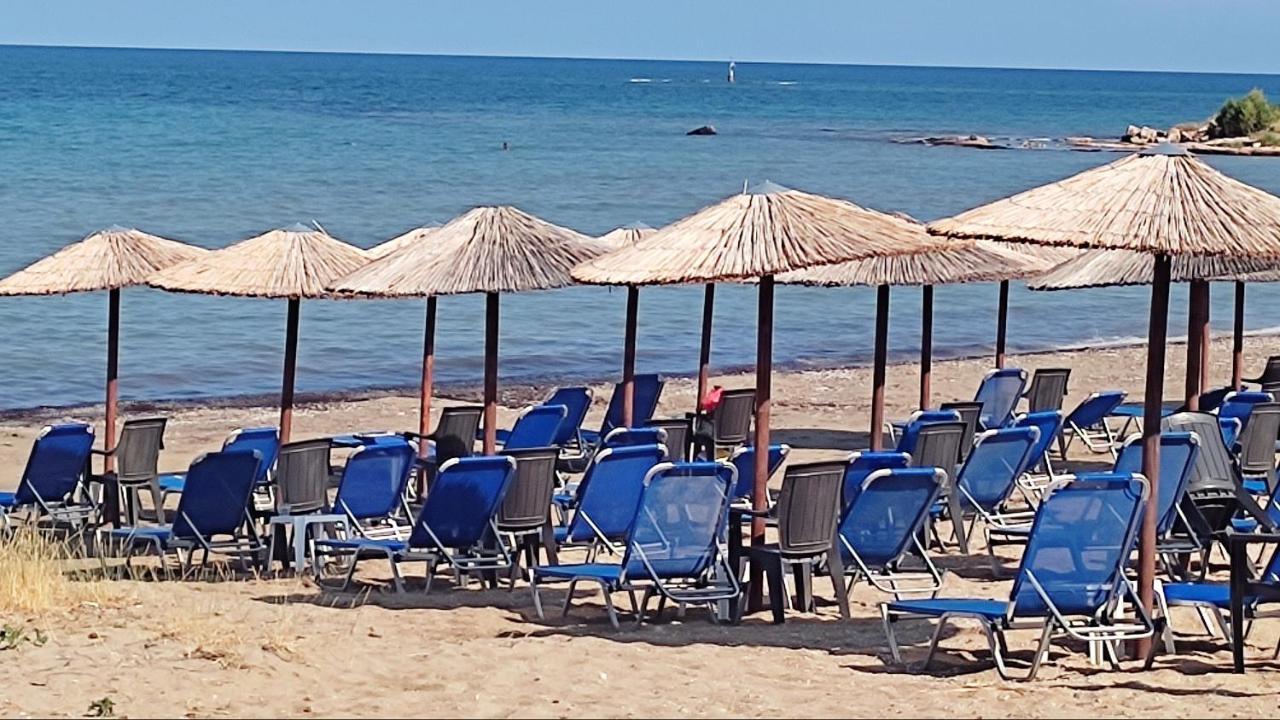 Beautiful Choice - Near Athens Airport - 50M From The Sea - Iq+ Lägenhet Artemida  Exteriör bild