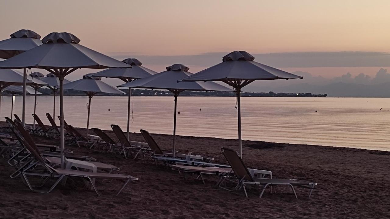 Beautiful Choice - Near Athens Airport - 50M From The Sea - Iq+ Lägenhet Artemida  Exteriör bild
